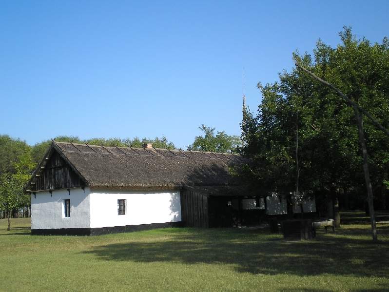 vissza