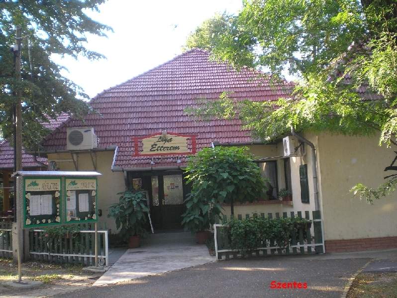 vissza