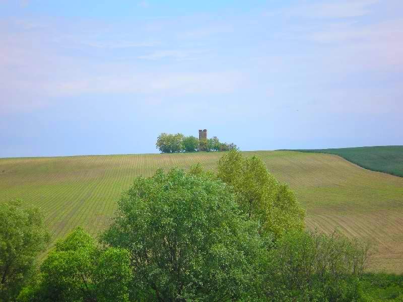 vissza