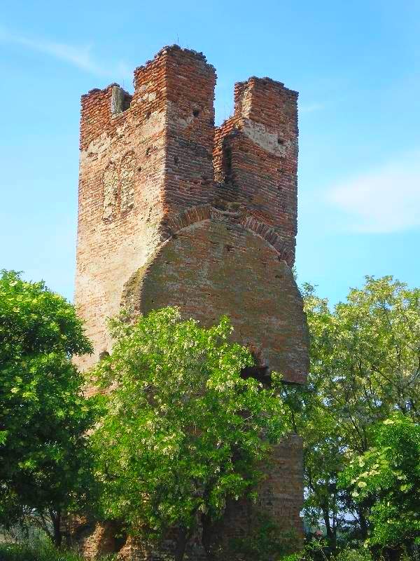 vissza