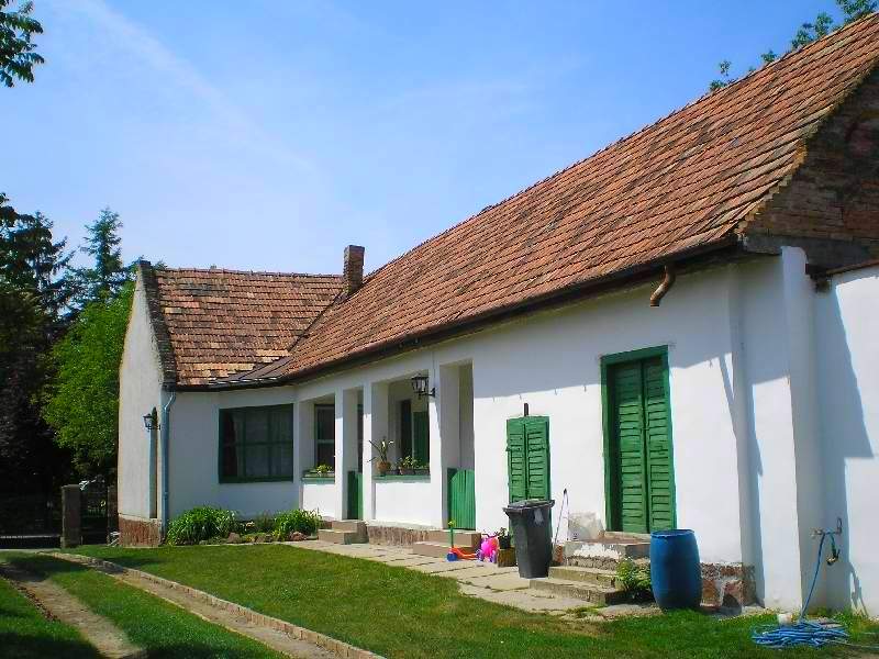 vissza