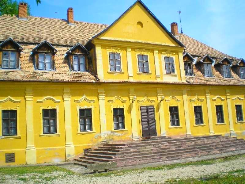 vissza