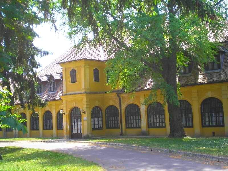 vissza