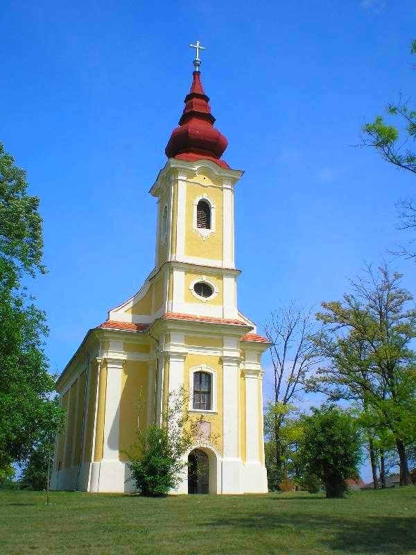 vissza
