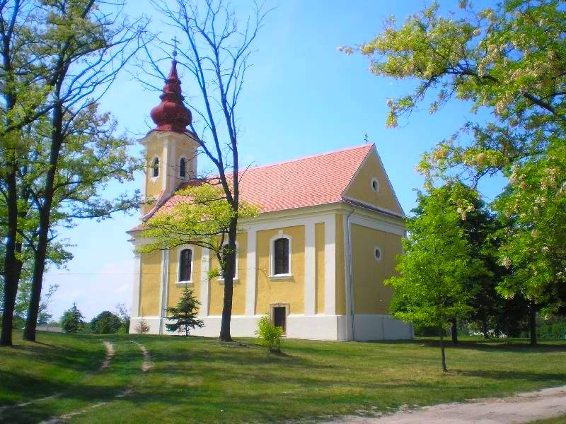 vissza