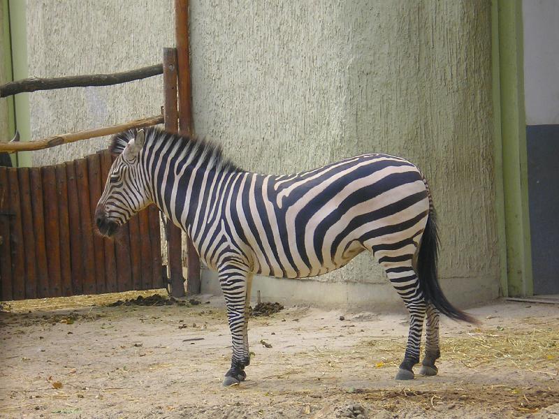 vissza
