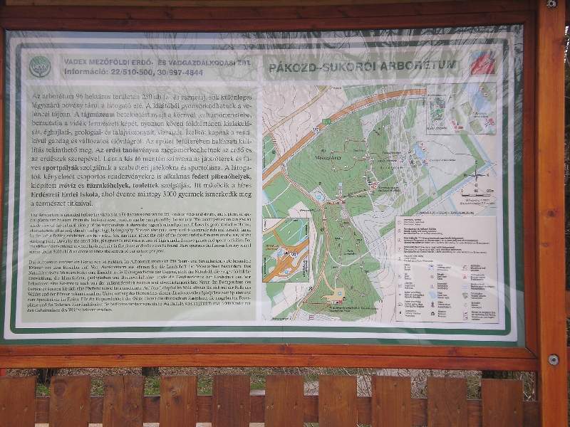 vissza