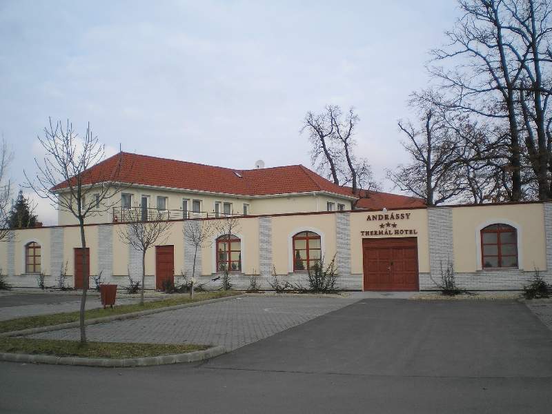 vissza