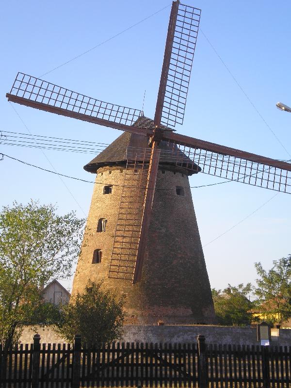 vissza