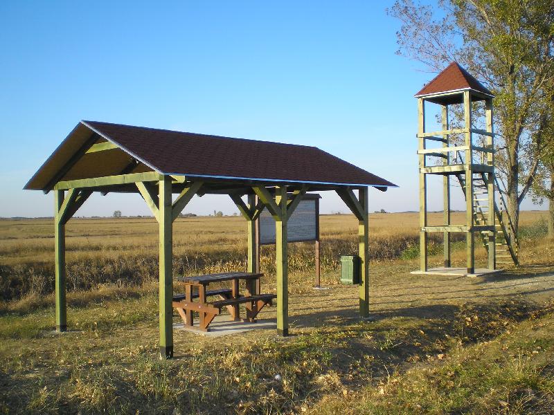 vissza