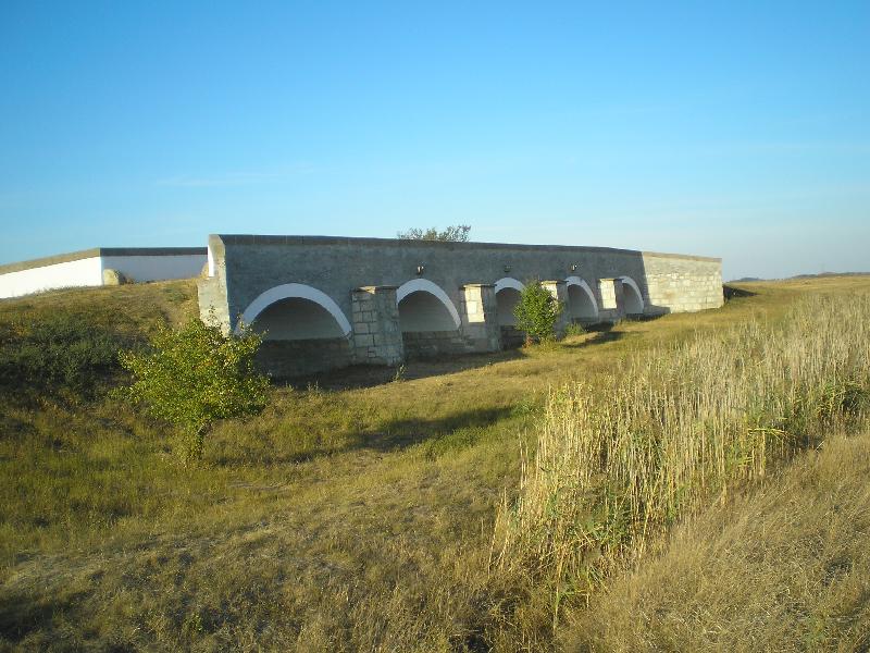 vissza