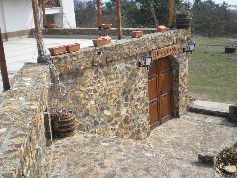 vissza