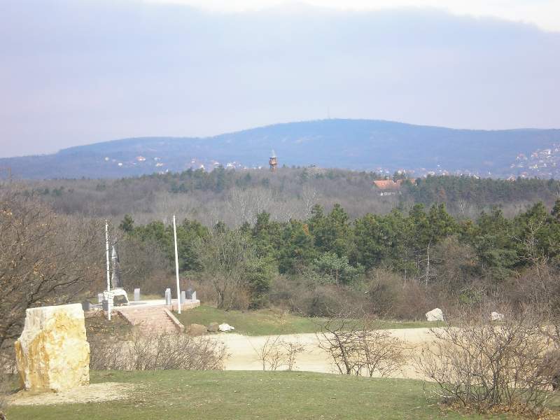 vissza