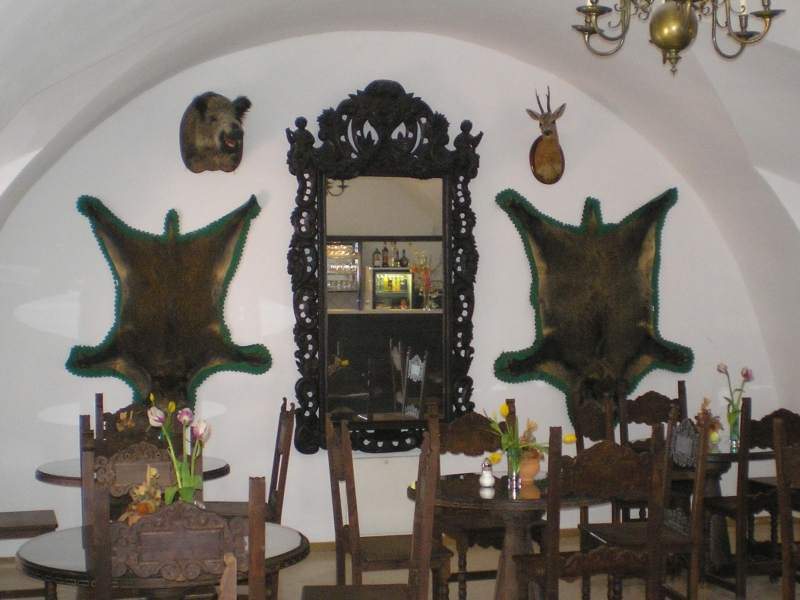 vissza