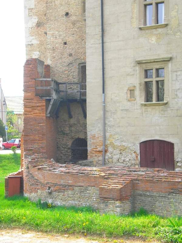 vissza
