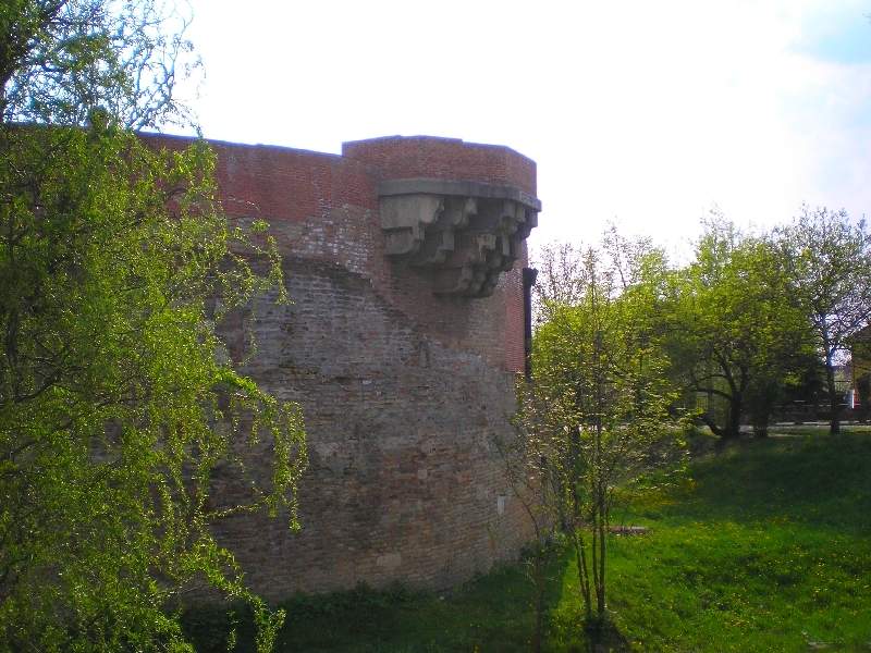 vissza