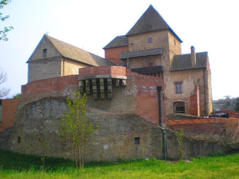 vissza