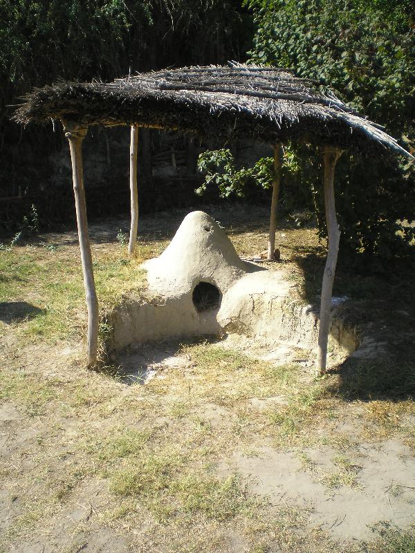 vissza