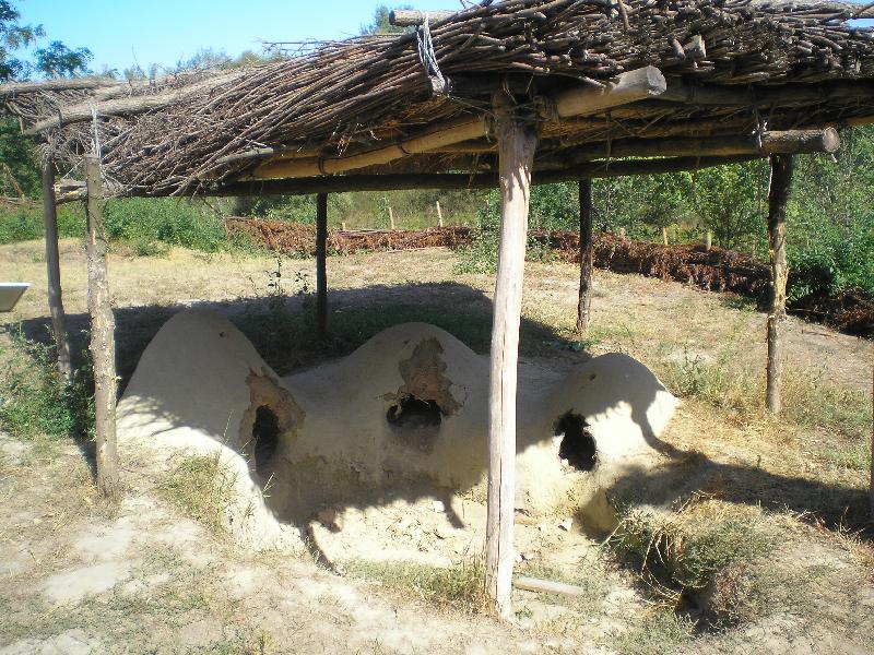 vissza