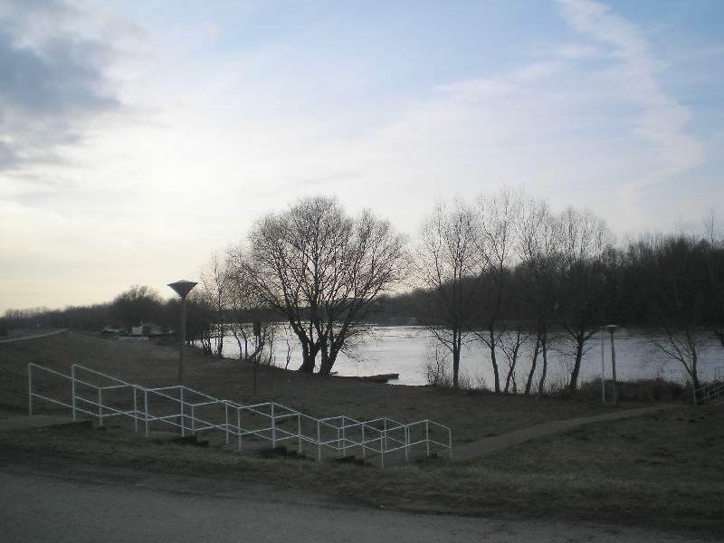 vissza