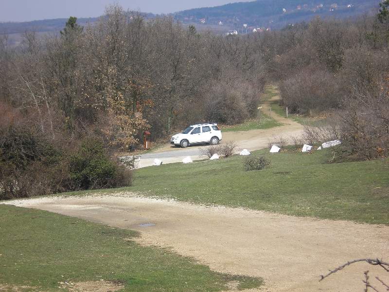vissza