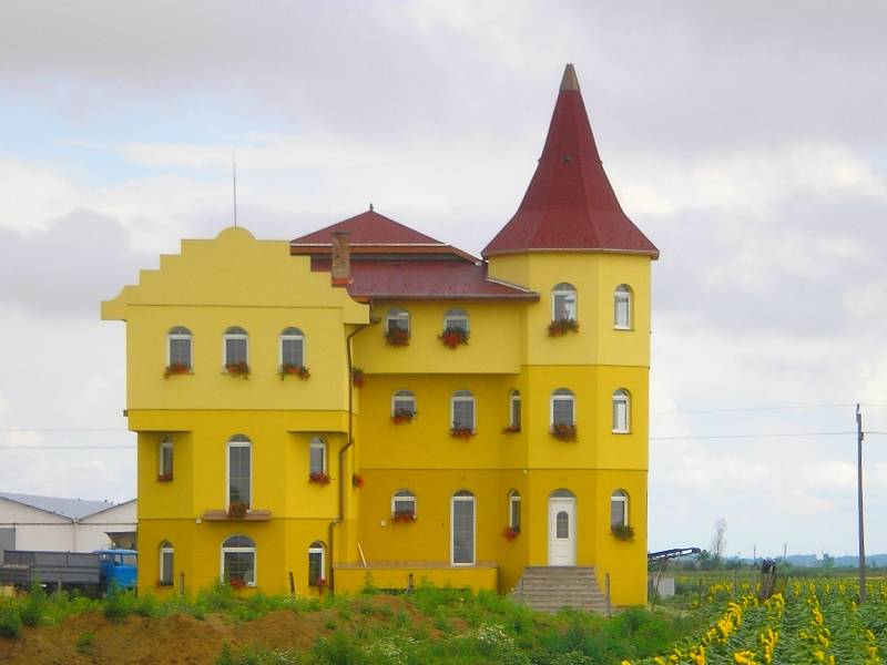 vissza