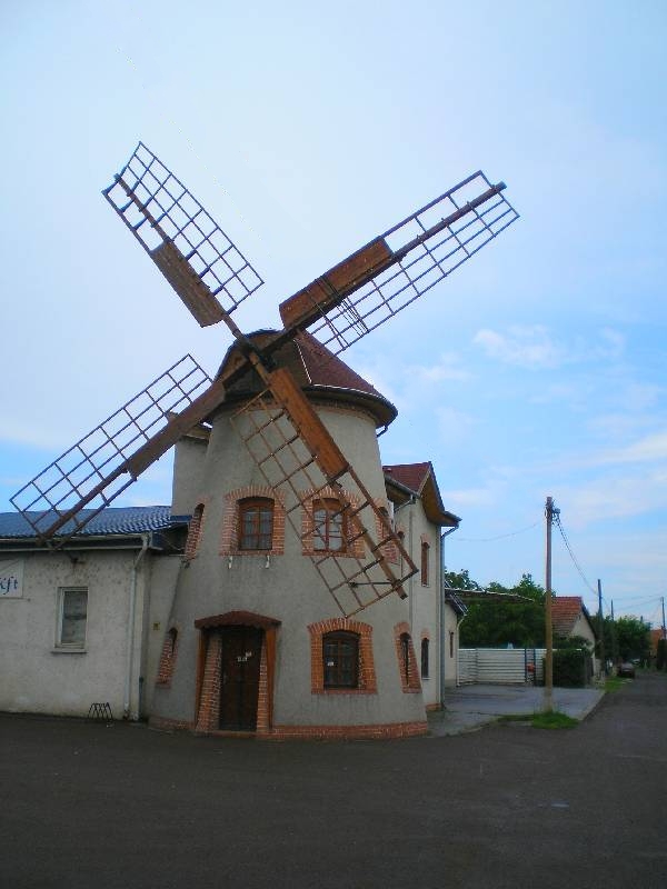 vissza