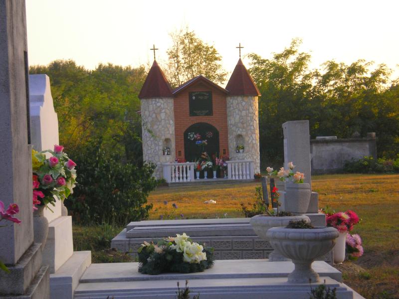 vissza