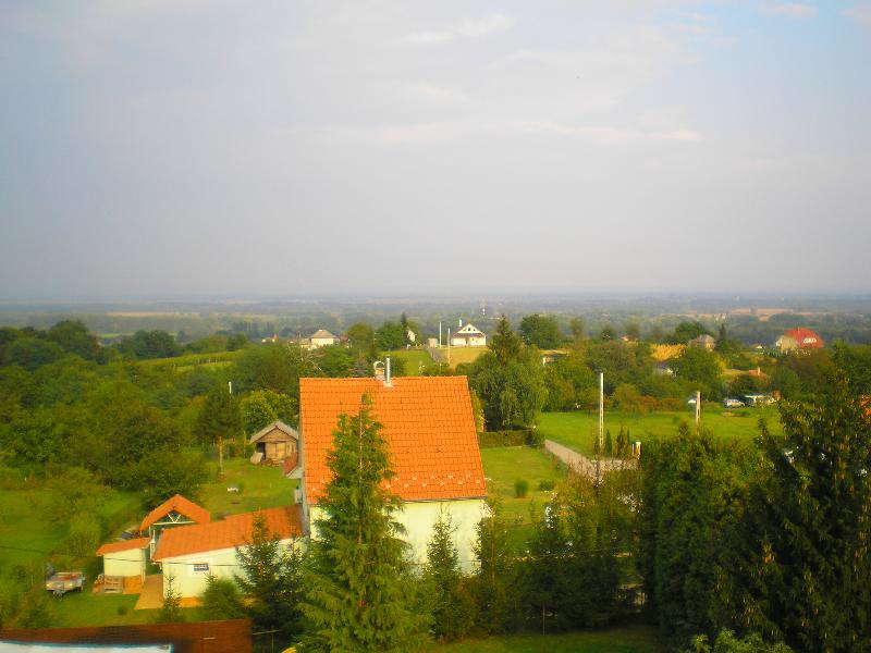 vissza