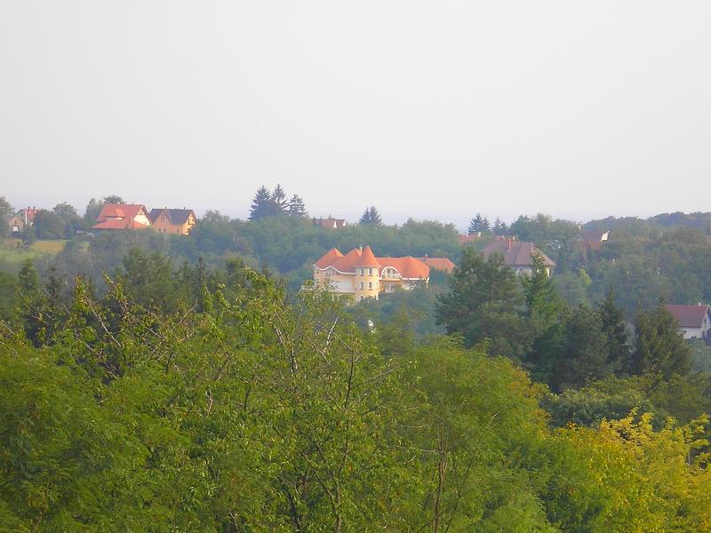 vissza
