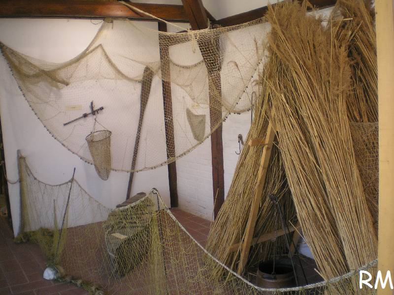 vissza