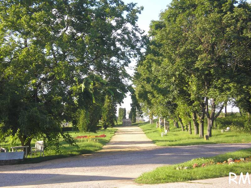 vissza