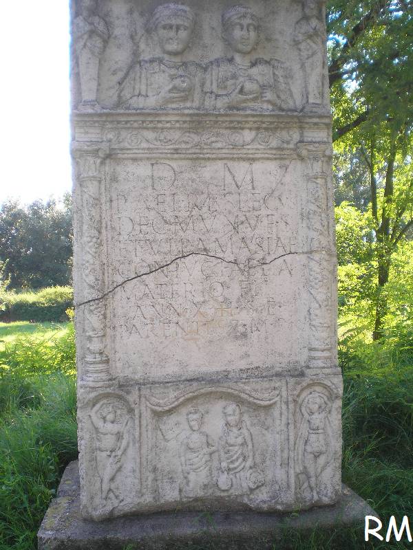 vissza