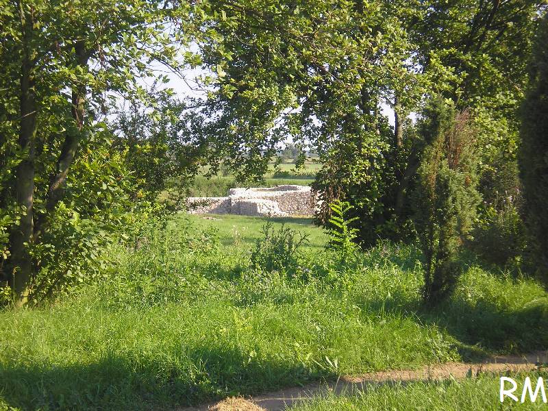 vissza