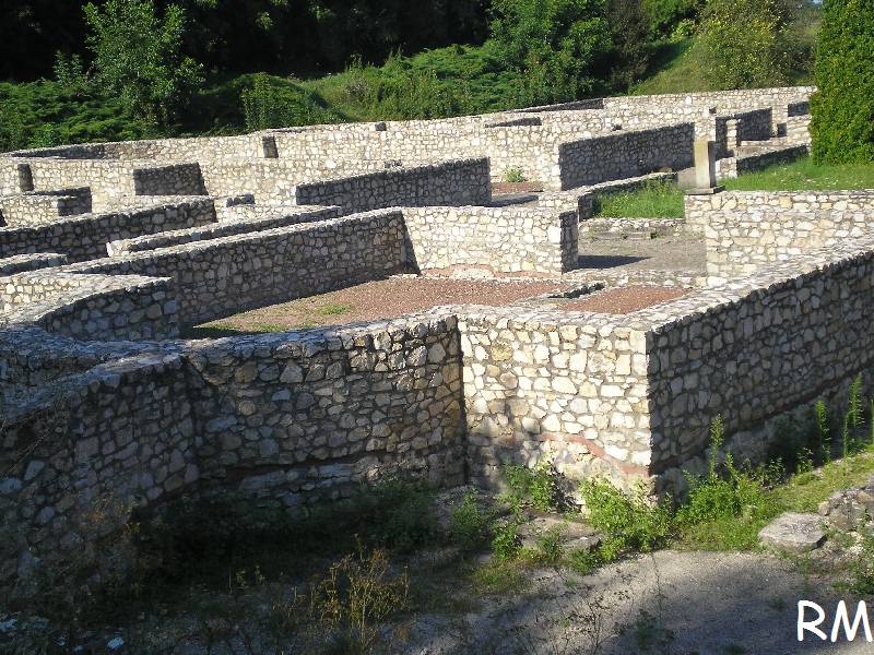 vissza