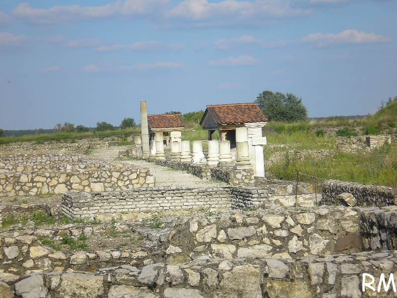 vissza