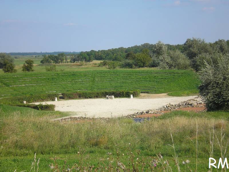 vissza