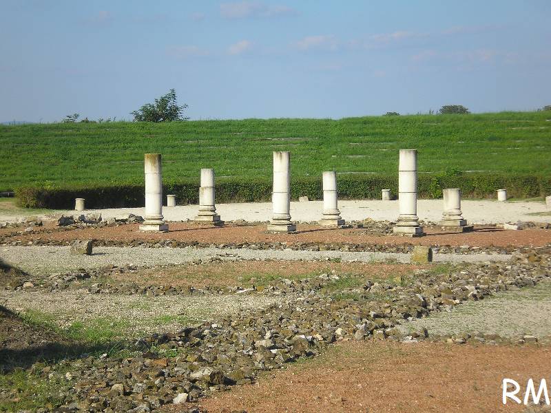 vissza