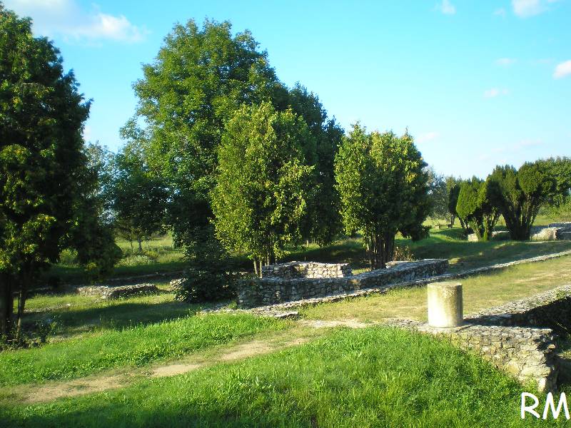vissza
