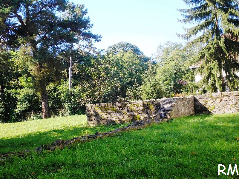 vissza