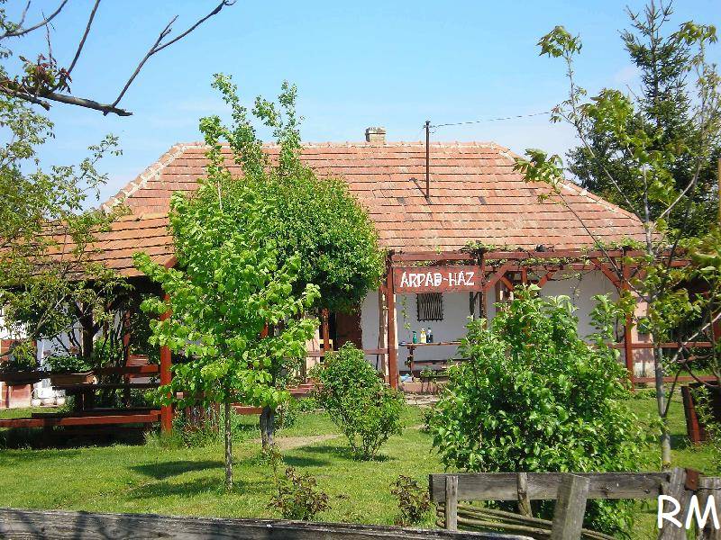 vissza