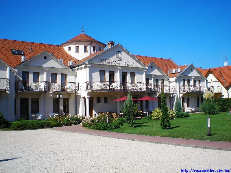 vissza
