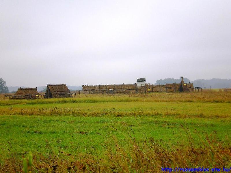 vissza