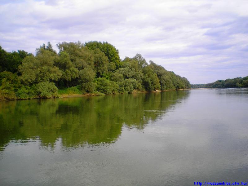 vissza