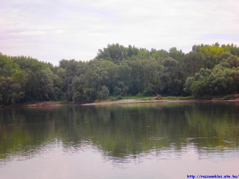 vissza