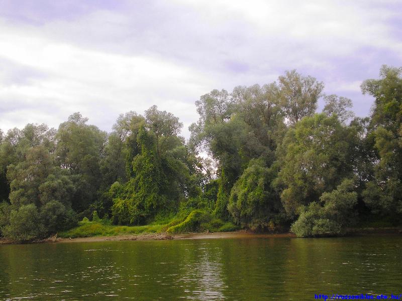 vissza