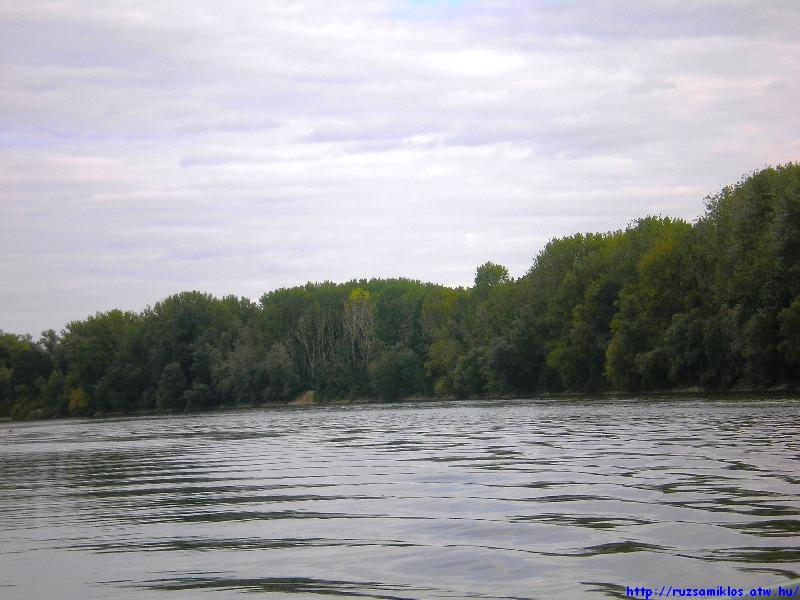 vissza