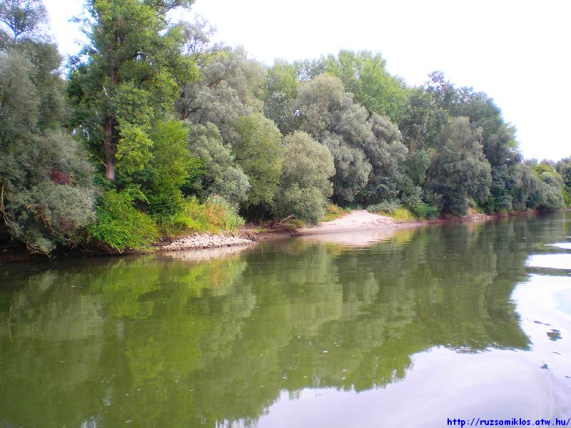 vissza