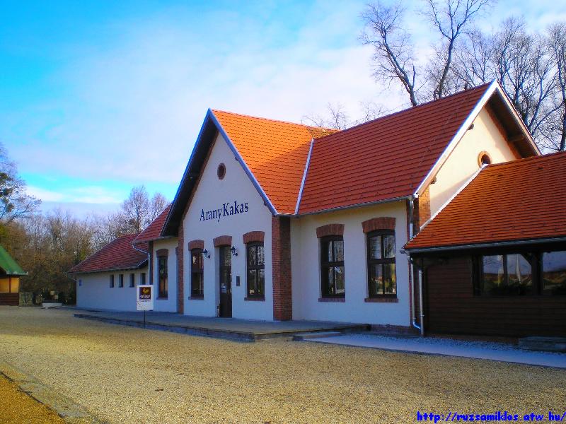 vissza