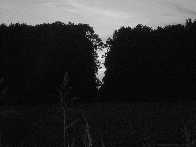 3bw